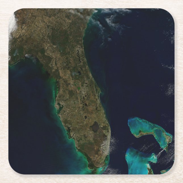 Satellitvy av Florida. Underlägg Papper Kvadrat (Framsidan)