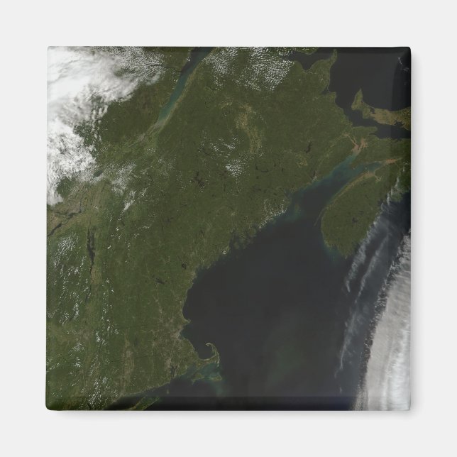 Satellitvy över New England Magnet (Framsidan)
