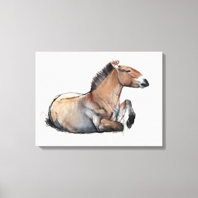 Säten Przewalski 2011 Canvastryck (Framsida)