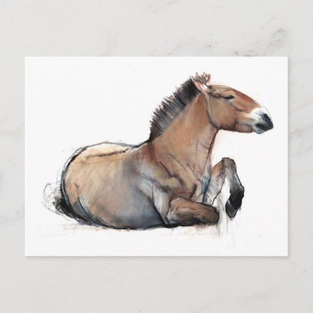 Säten Przewalski 2011 Vykort (Framsida)