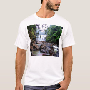 Sathodi Falls, Uttar Kannada, Indien Tee
