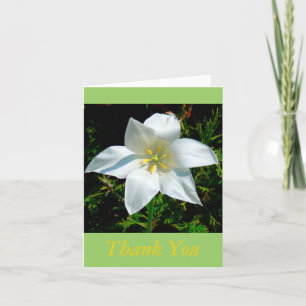 SATINY WHITE FLOWER /THANK DU CARD/PHOTOG. TACK KORT