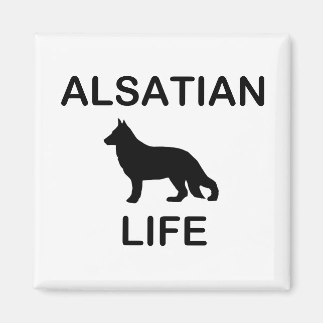 satiskt liv magnet (Framsidan)