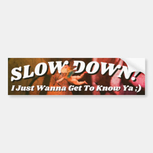 satomi motorsport Slow Down! Bildekal
