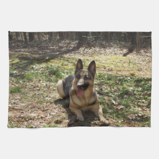 Sätt din bebis på en mojo räcker handduken kökshandduk