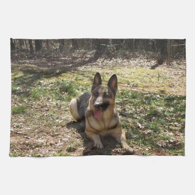 Sätt din bebis på en mojo räcker handduken kökshandduk (Horisontell)