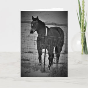 "Sätt I Gång Din Högfärd" Födelsedagskort Kort