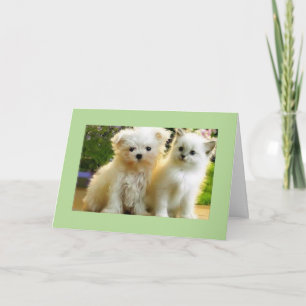 SÄTT JUST* FÖR DIN BIRTHDAY KORT