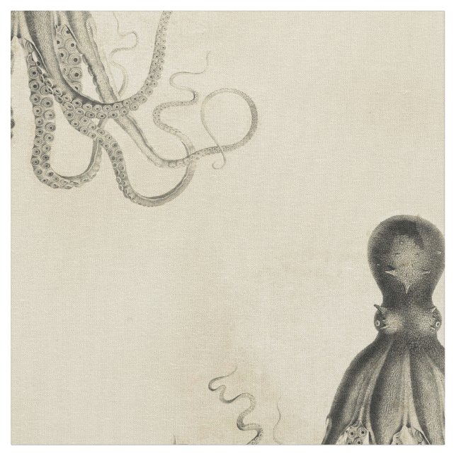 Satt på land bläckfisk tyg (Närbild)