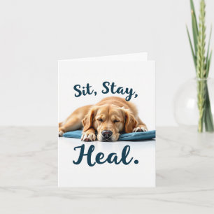 Sätt stilla Heal Funny Hämta brunnskort Kort