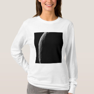 Saturns måne Tethys Tee