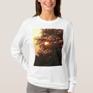 Satyam Group T-shirt