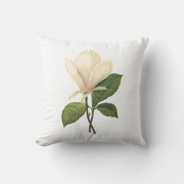 saucermagnolia (Magnoliasoulangiana) vid Redouté Kudde (Framsida)
