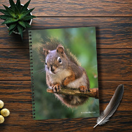 Saucy Red Squirrel i Fir Anteckningsbok Med Spiral