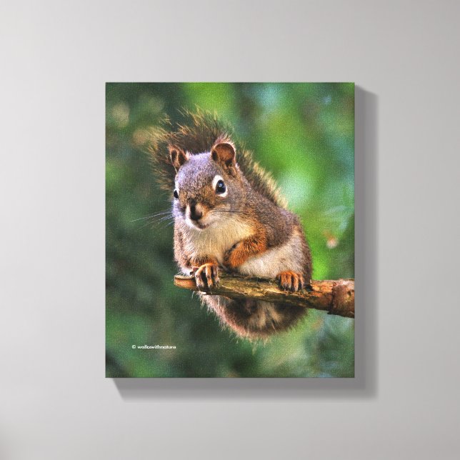 Saucy Red Squirrel i Fir Canvastryck (Framsida)