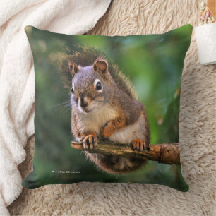 Saucy Red Squirrel i Fir Kudde