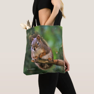 Saucy Red Squirrel i Fir Tygkasse