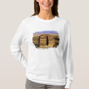 Saudiarabien, Madain Saleh, forntida T-shirt