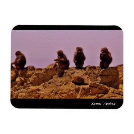 Saudiarabien Magnet