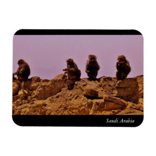 Saudiarabien Magnet
