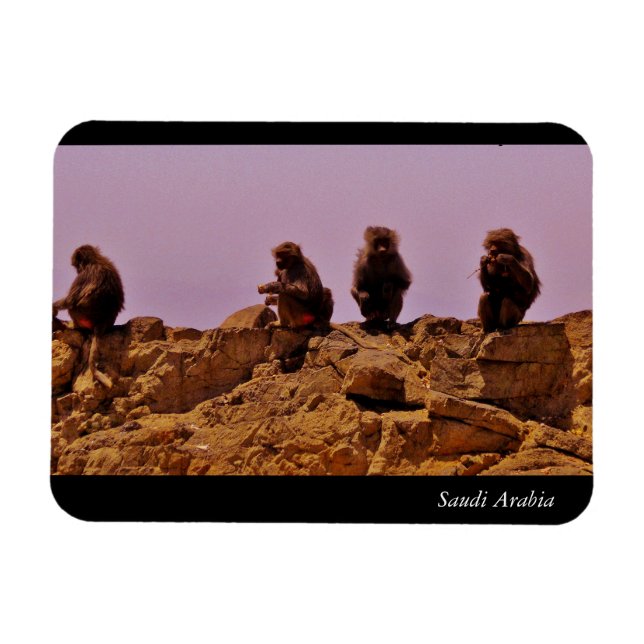 Saudiarabien Magnet (Horisontell)