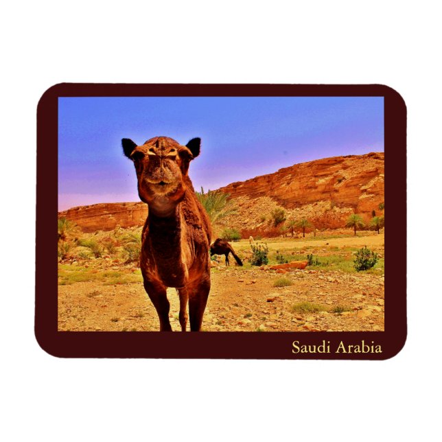 Saudiarabien Magnet (Horisontell)