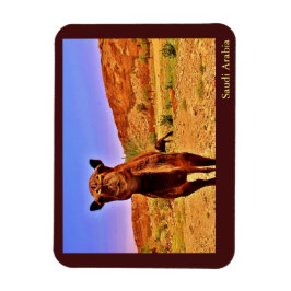 Saudiarabien Magnet