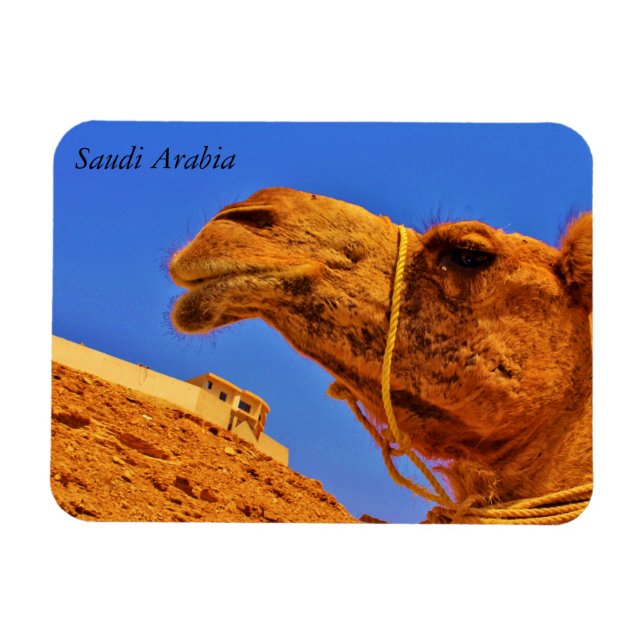 Saudiarabien Magnet (Horisontell)