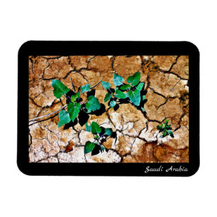 Saudiarabien Magnet