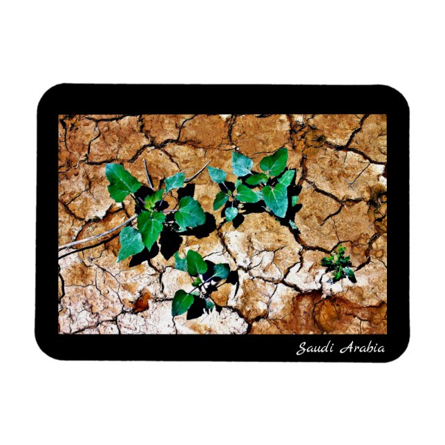 Saudiarabien Magnet (Horisontell)