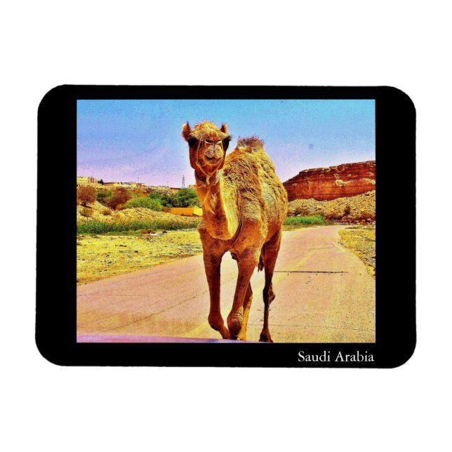 Saudiarabien Magnet (Horisontell)