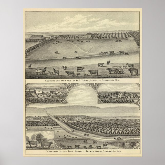 Saunders County Farms, Nebraska Poster (Framsidan)