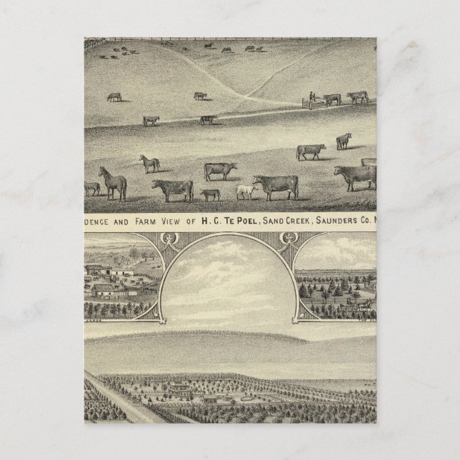 Saunders County Farms, Nebraska Vykort (Framsida)