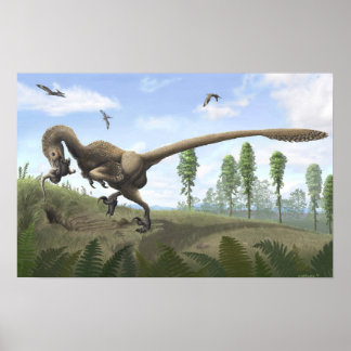 Saurornitholestes Skriv ut Poster
