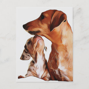 Sausage Dog Valpar 7 Veckor Dachshund Födelsedag P Vykort