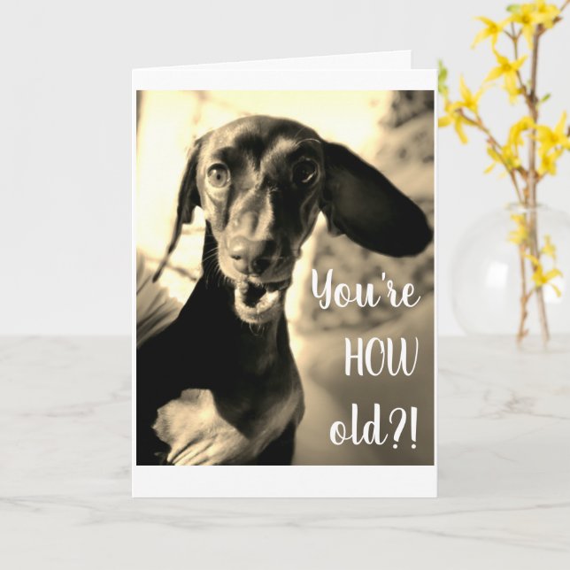Sause Hund Birthday Card Funny Kort (Gul blomma)