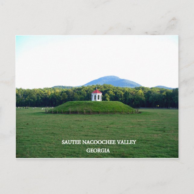 SAUTEE NACOHEE VALLEY - GEORGIA VYKORT (Framsida)