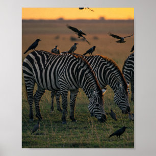 Savanna Rand Stillness Poster