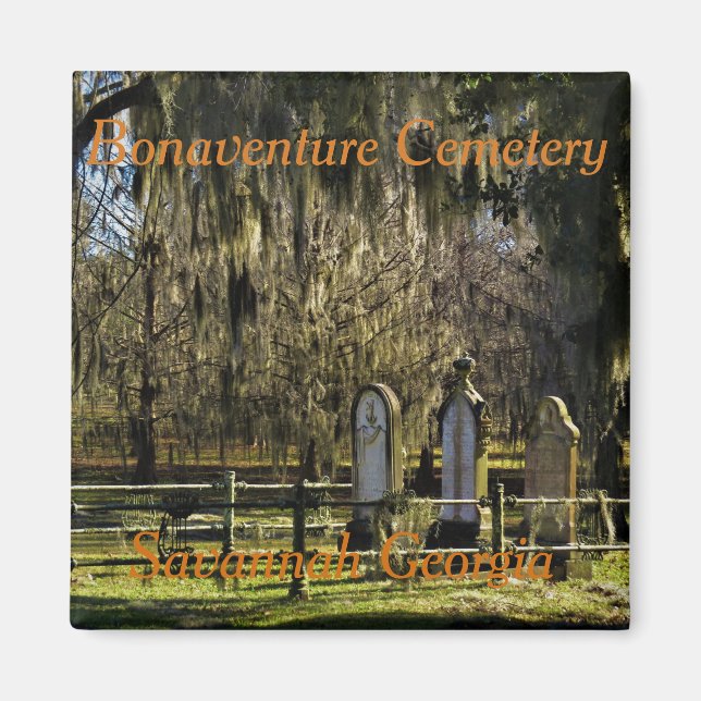 Savannah Bonaventure magnet (Framsidan)