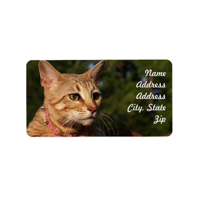 Savannah Cat Adress Sticker Adressetikett (Framsidan)