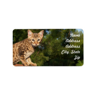 Savannah Cat Adress Sticker Adressetikett