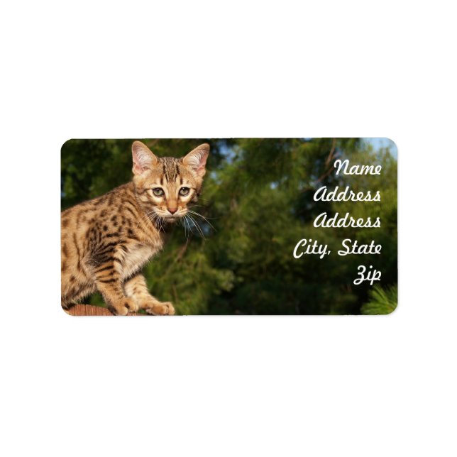 Savannah Cat Adress Sticker Adressetikett (Framsidan)