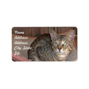 Savannah Cat Adress Sticker Adressetikett