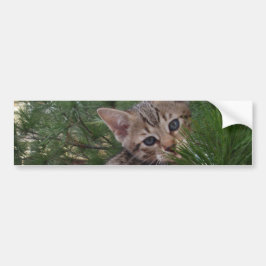 Savannah Cat Background Bumper Sticker Bildekal