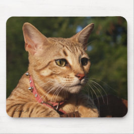 Savannah Cat Mousepad Musmatta