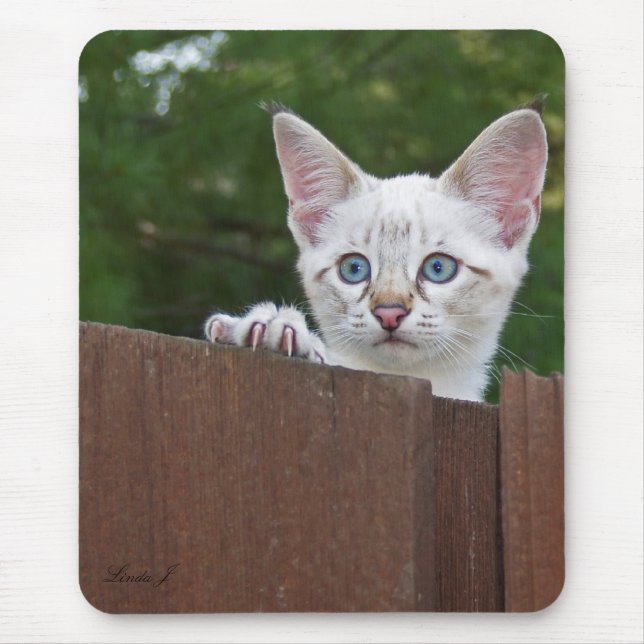 Savannah Cat Mousepad Musmatta (Framsidan)
