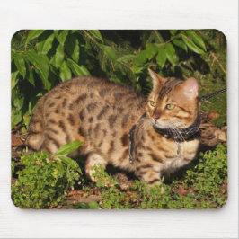 Savannah Cat Mousepad Musmatta