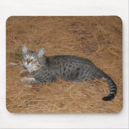 Savannah Cat Mousepad Musmatta