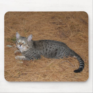 Savannah Cat Mousepad Musmatta