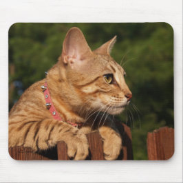 Savannah Cat Mousepad Musmatta